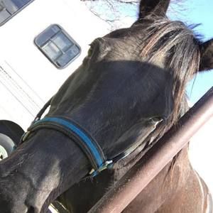 Meet your Posher, Cierra